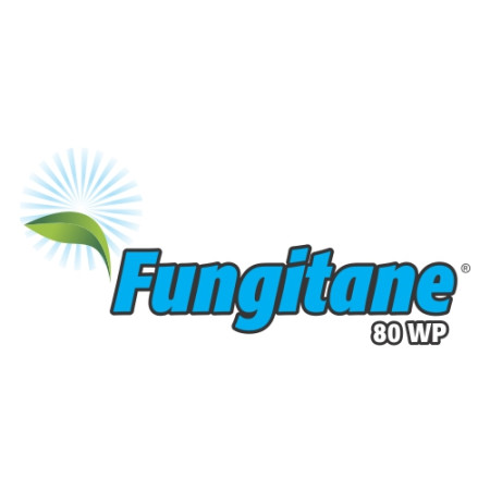 FUNGITANE 80 WP