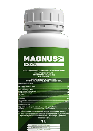 INCENTIA MAGNUS SL