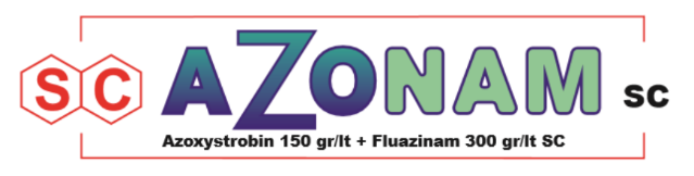 AZONAM SC