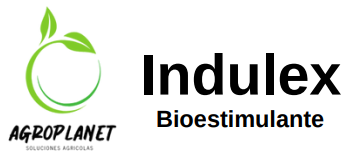 Indulex